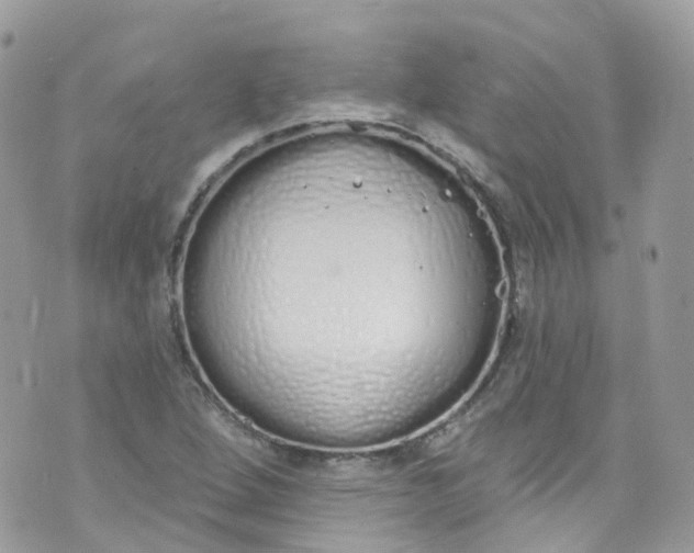 X0000072991264200608111758