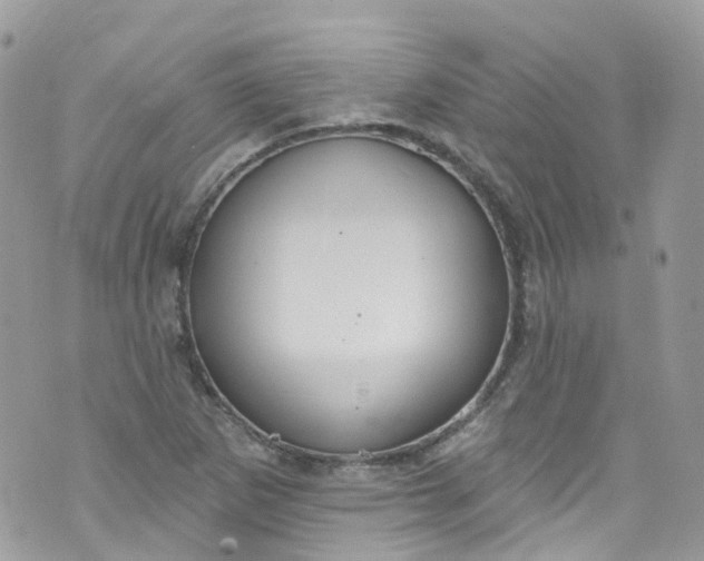 X0000072991265200608111758