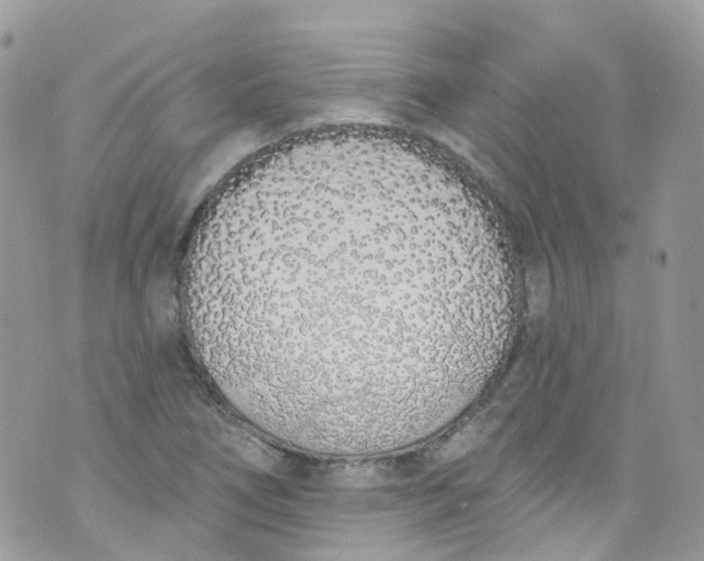 X0000072991266200608111758