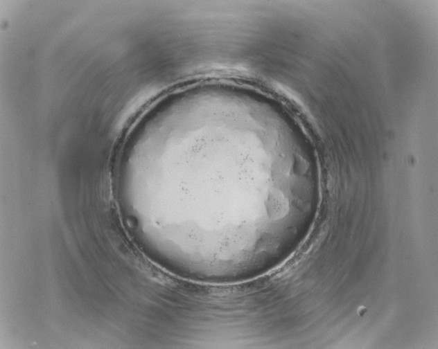 X0000072991267200608111758