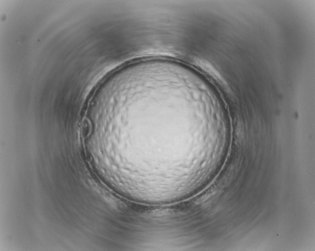 X0000072991268200608111758