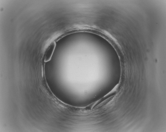 X0000072991269200608111758