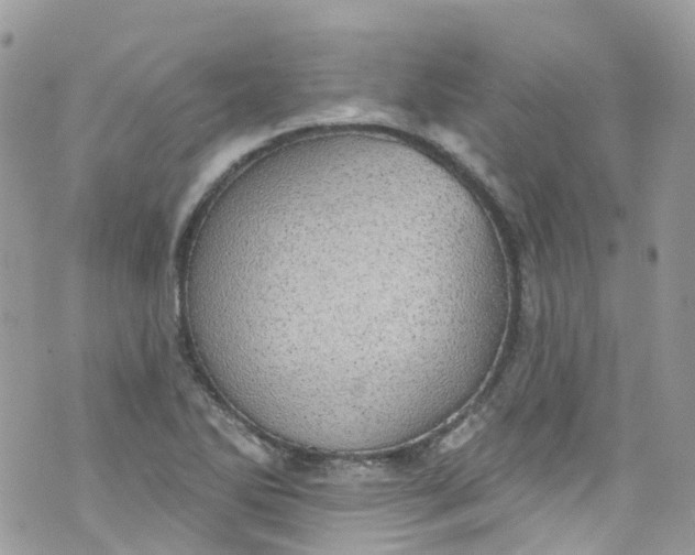 X0000072991270200608111758