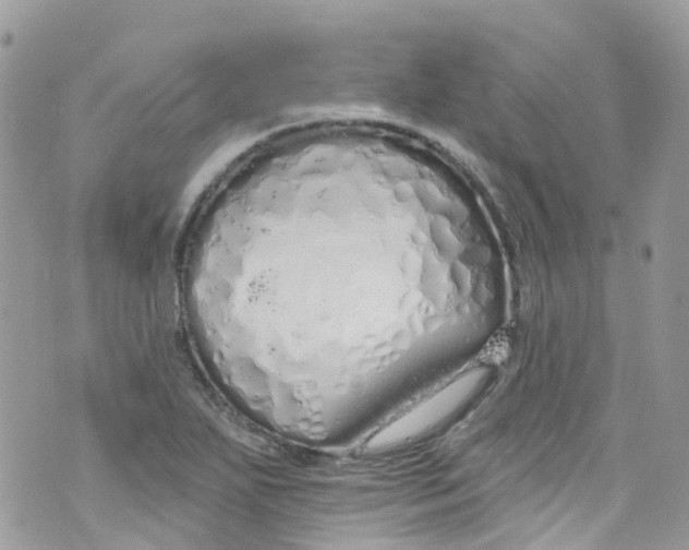 X0000072991271200608111758