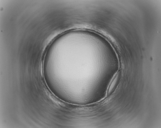 X0000072991272200608111758