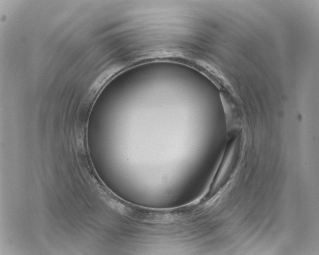 X0000072991273200608111758