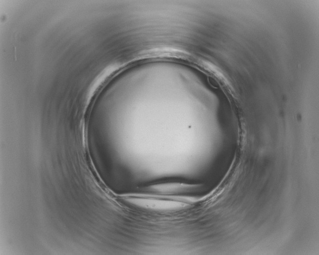 X0000072991275200608111758