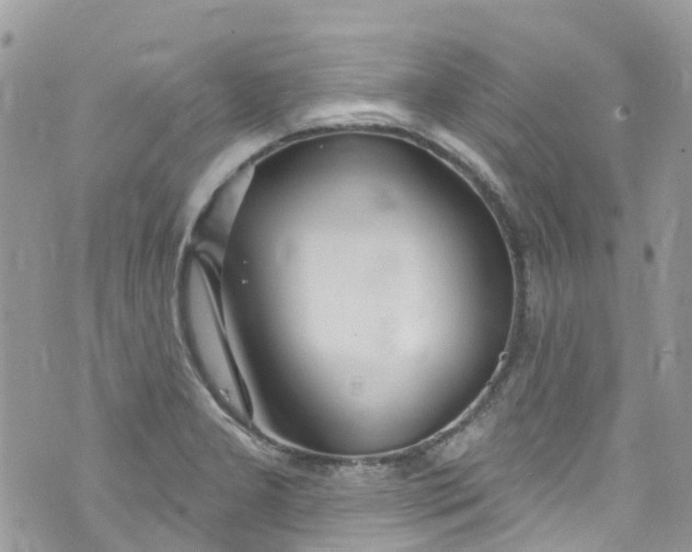 X0000072991277200608111758