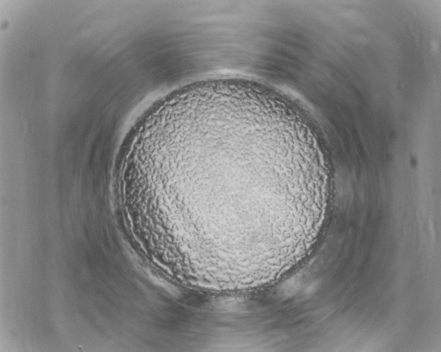 X0000072991278200608111758