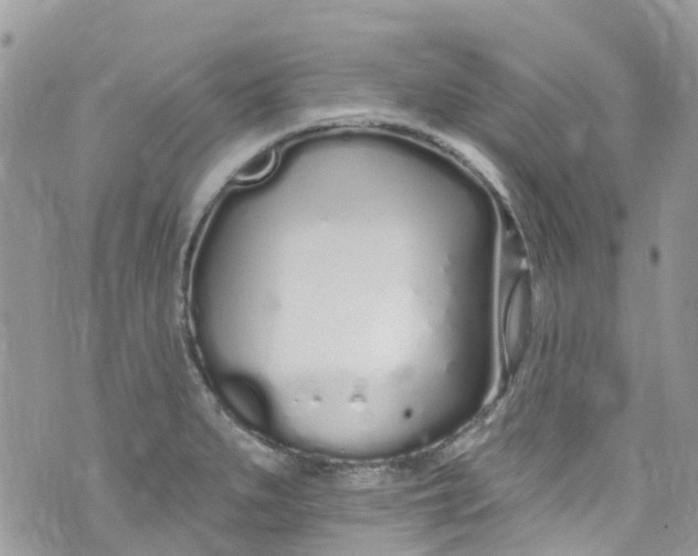 X0000072991279200608111758