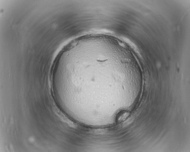 X0000072991280200608111758