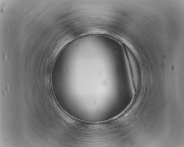 X0000072991281200608111758