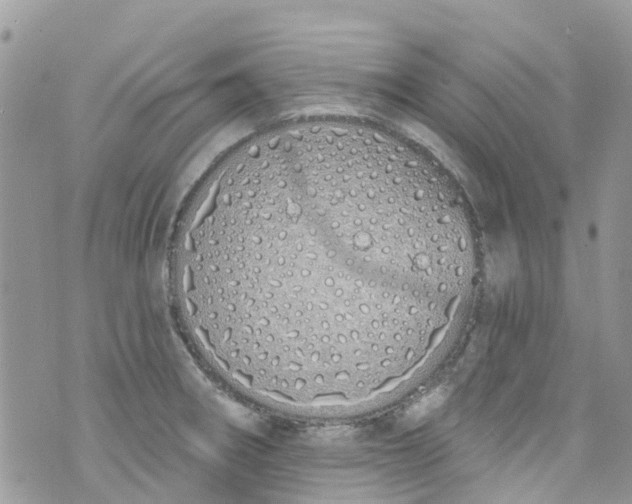 X0000072991282200608111758