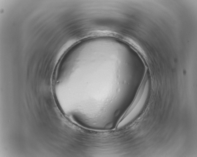 X0000072991283200608111758