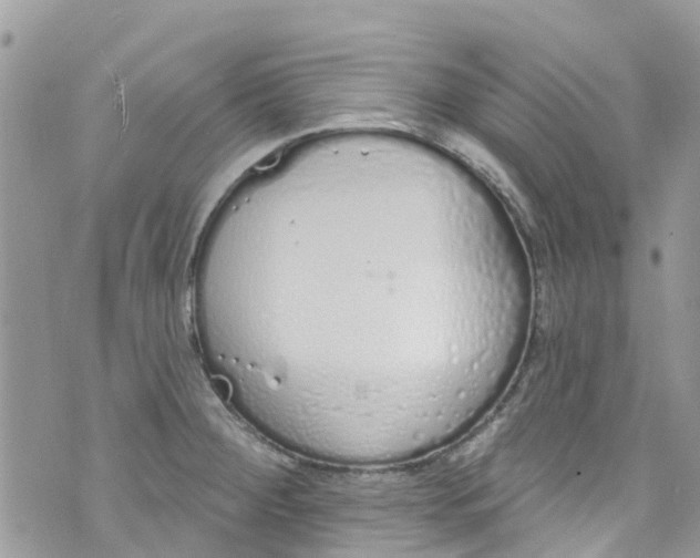 X0000072991284200608111758