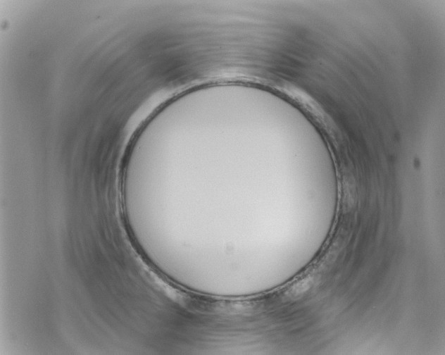 X0000072991286200608111758