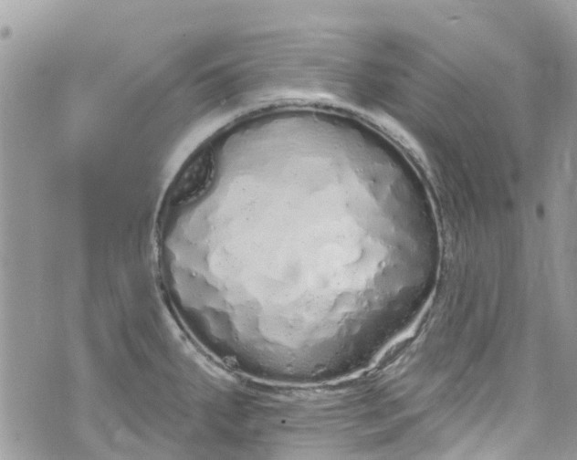 X0000072991287200608111758