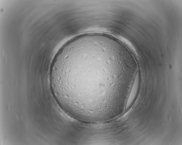 X0000072991288200608111758