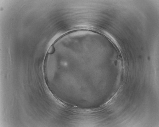 X0000072991291200608111757