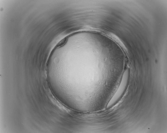 X0000072991292200608111757