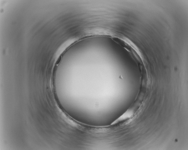 X0000072991293200608111757