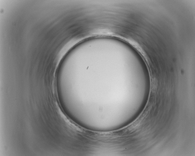 X0000072991295200608111757