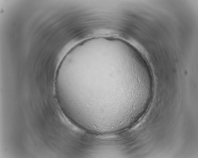 X0000072991296200608111757