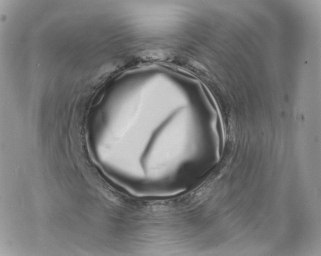 X0000072991297200608111757