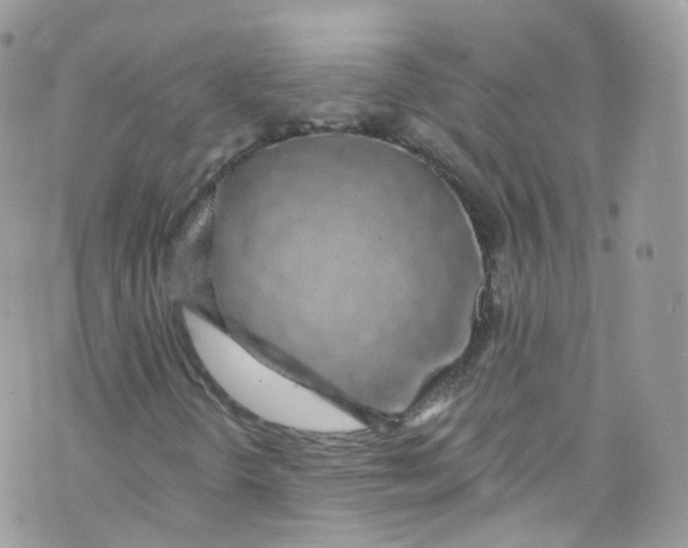 X0000072991298200608111757