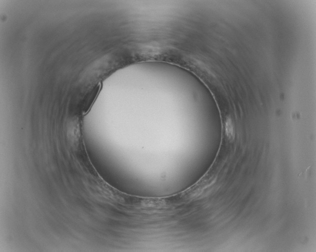 X0000072991299200608111757