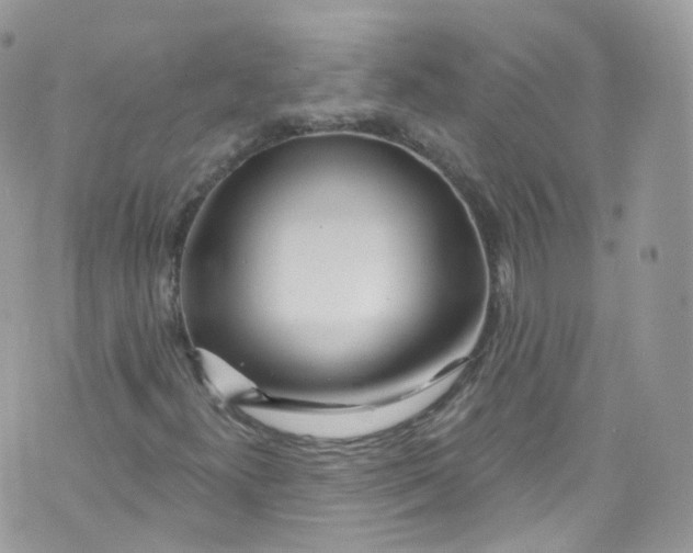 X0000072991300200608111757