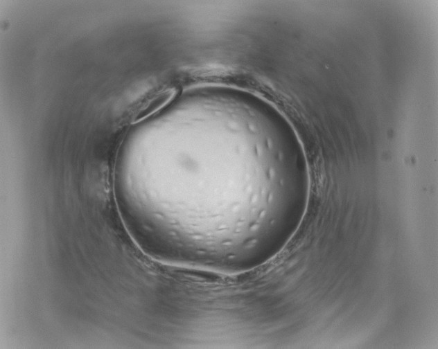 X0000072991301200608111757