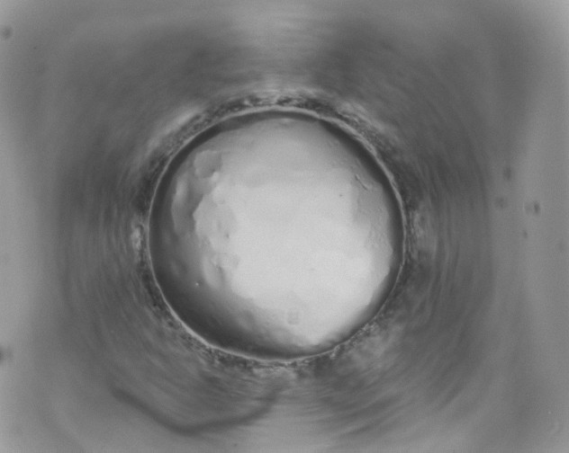 X0000072991302200608111757