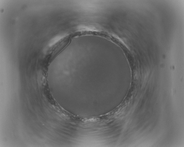 X0000072991303200608111757