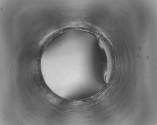 X0000072991304200608111757