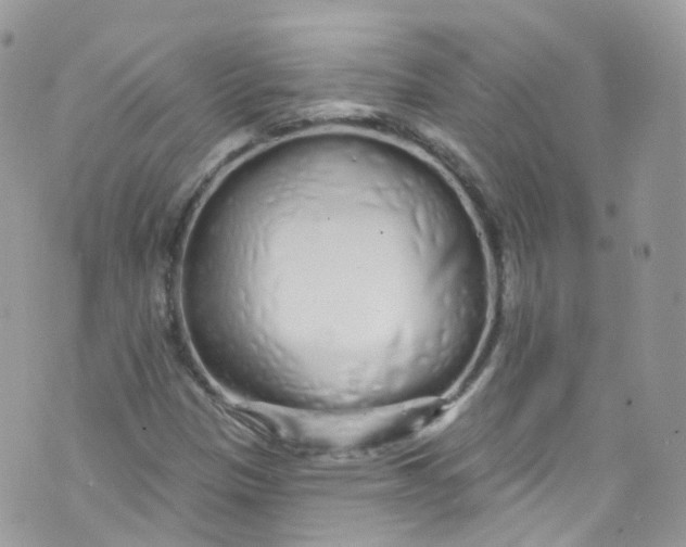 X0000072991305200608111757