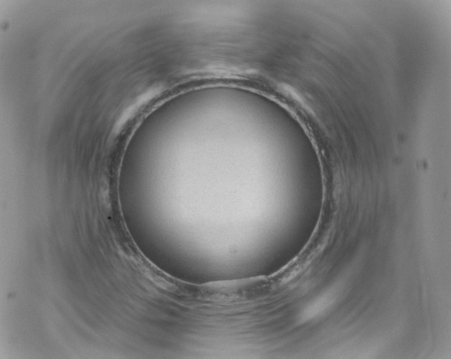 X0000072991307200608111757