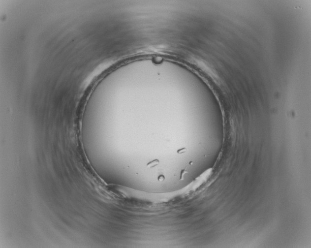 X0000072991308200608111757