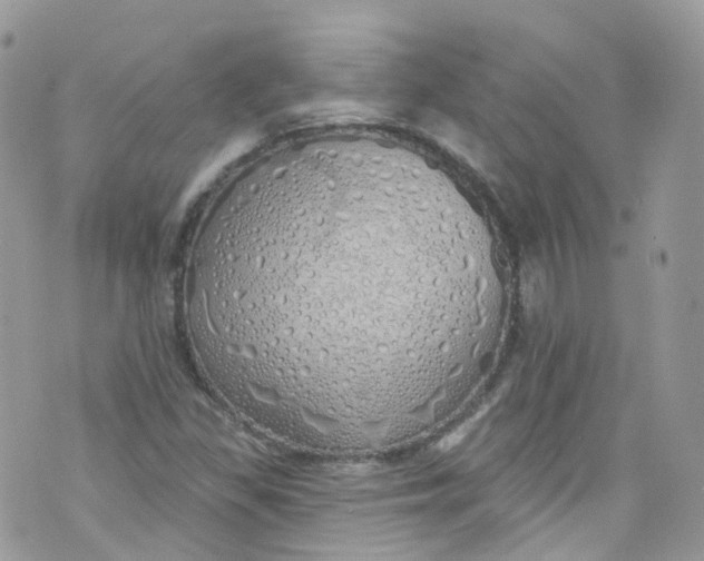 X0000072991309200608111757