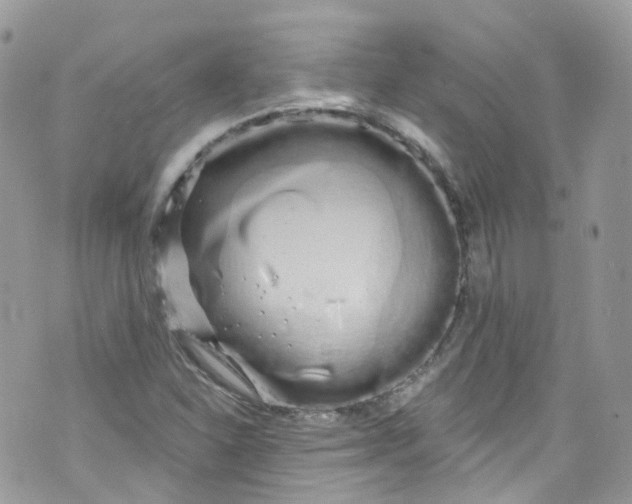 X0000072991310200608111757