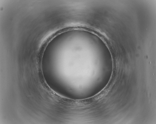 X0000072991311200608111757