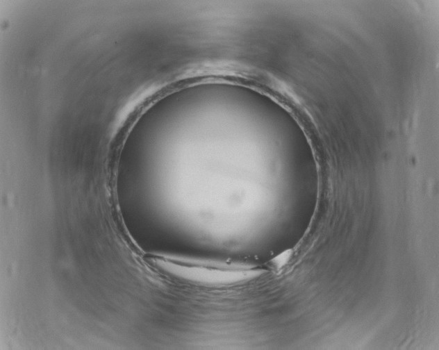 X0000072991312200608111757