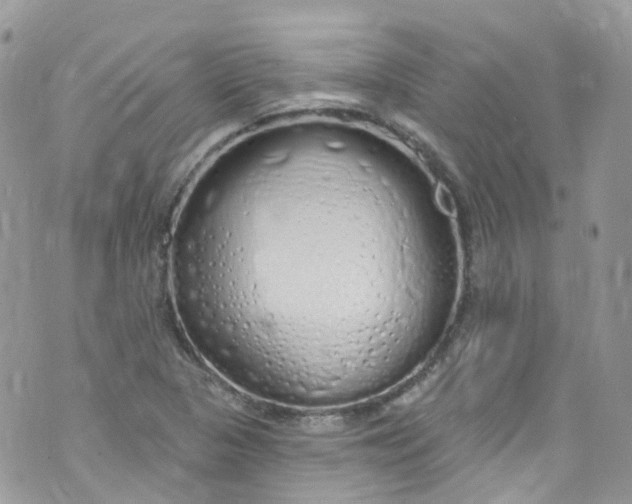 X0000072991313200608111757