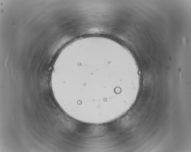 X0000072991314200608111757