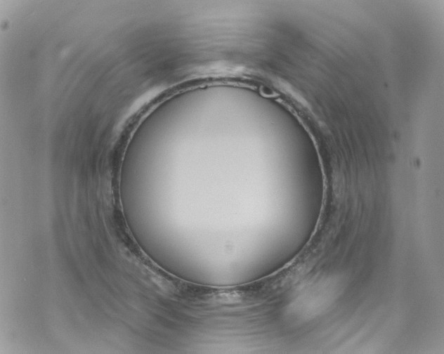 X0000072991315200608111757