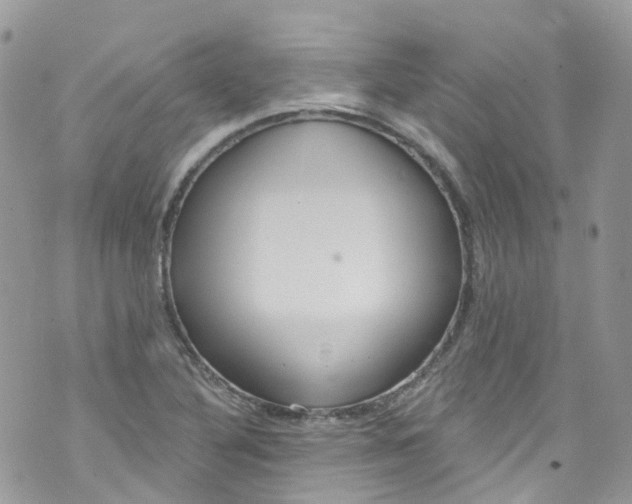 X0000072991316200608111757