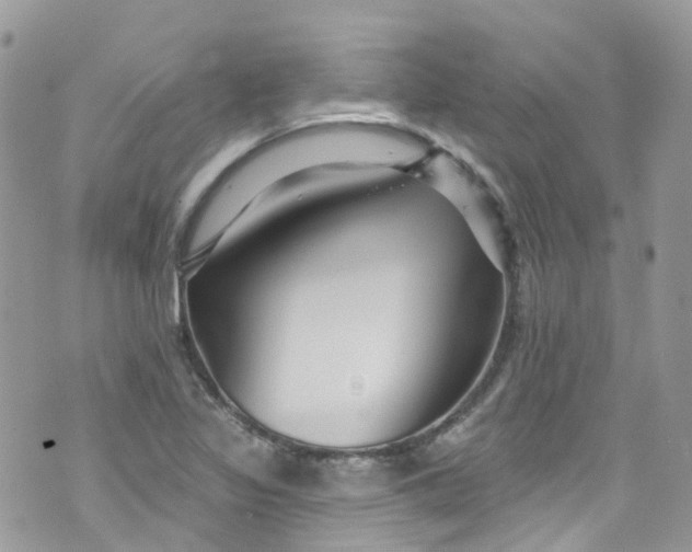 X0000072991317200608111757