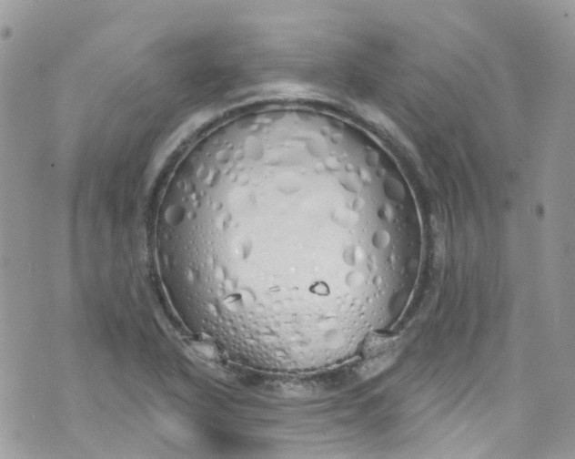 X0000072991318200608111757