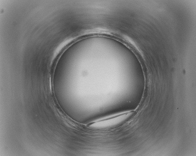 X0000072991320200608111757