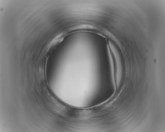 X0000072991321200608111757